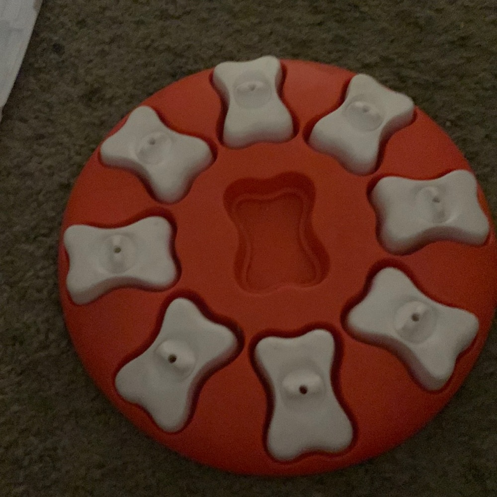 Dog toy puzzle